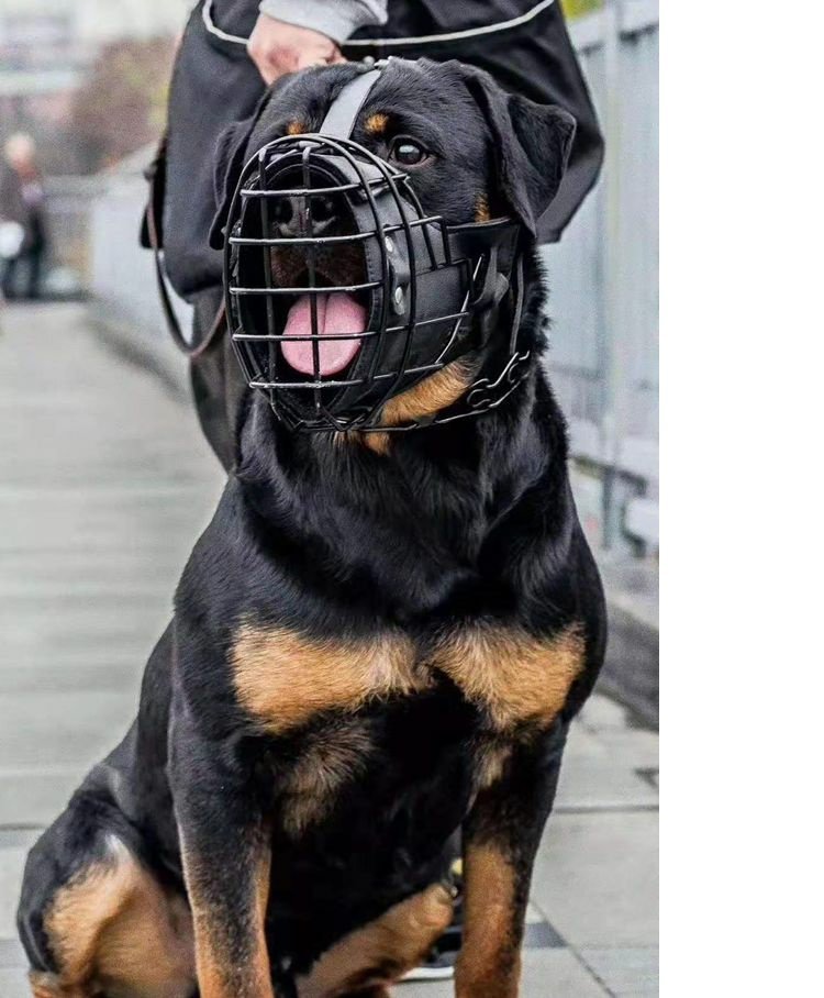 Impact Dog Muzzle - Comfortable and Secure Dog Muzzle for Training and Safety