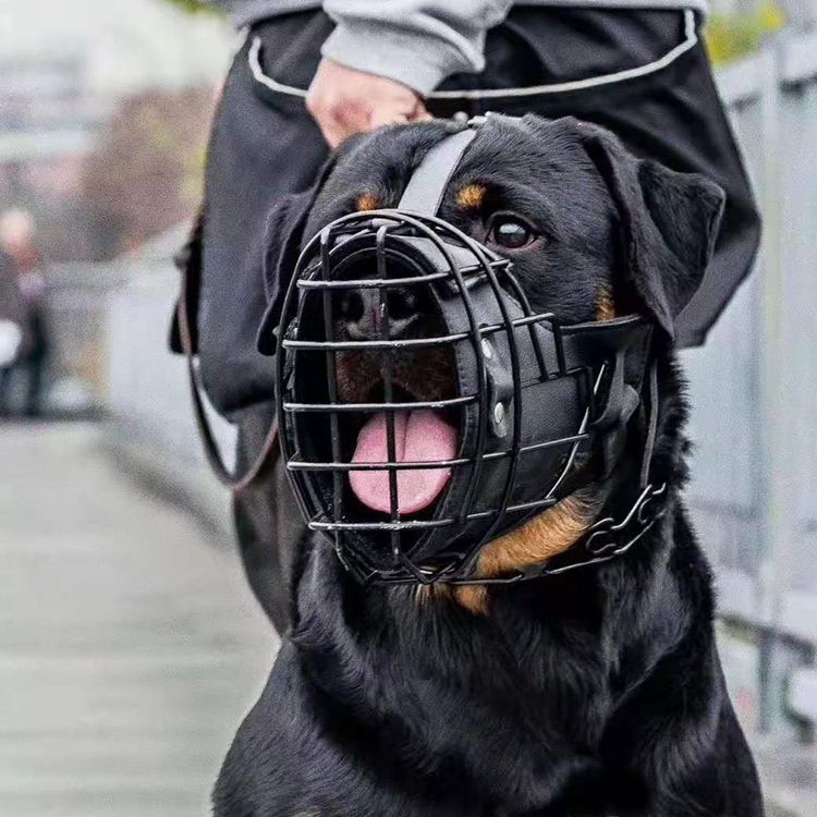 Impact Dog Muzzle - Comfortable and Secure Dog Muzzle for Training and Safety