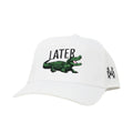 Later Gator